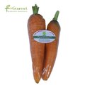 Cà rốt