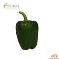 Ớt chuông xanh đỏ