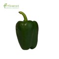 Ớt chuông xanh đỏ