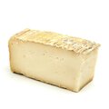 Taleggio