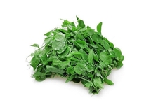 Rau đậu Hà Lan - Hà Giang