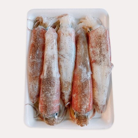 Mực ống 500g - size L