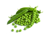 Đậu quả Hà Lan - Hà Giang