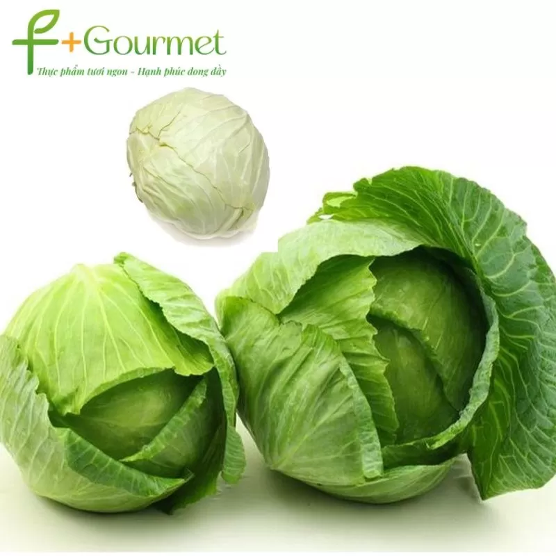 Bắp Cải trắng giá rẻ