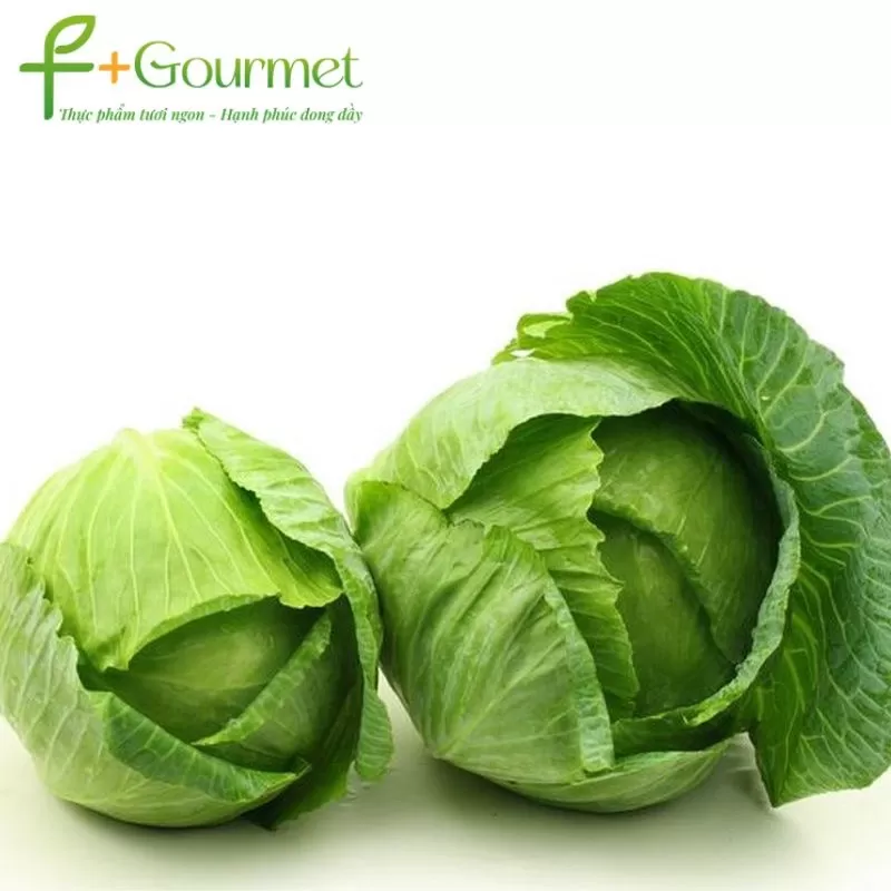 Bắp Cải trắng ngon